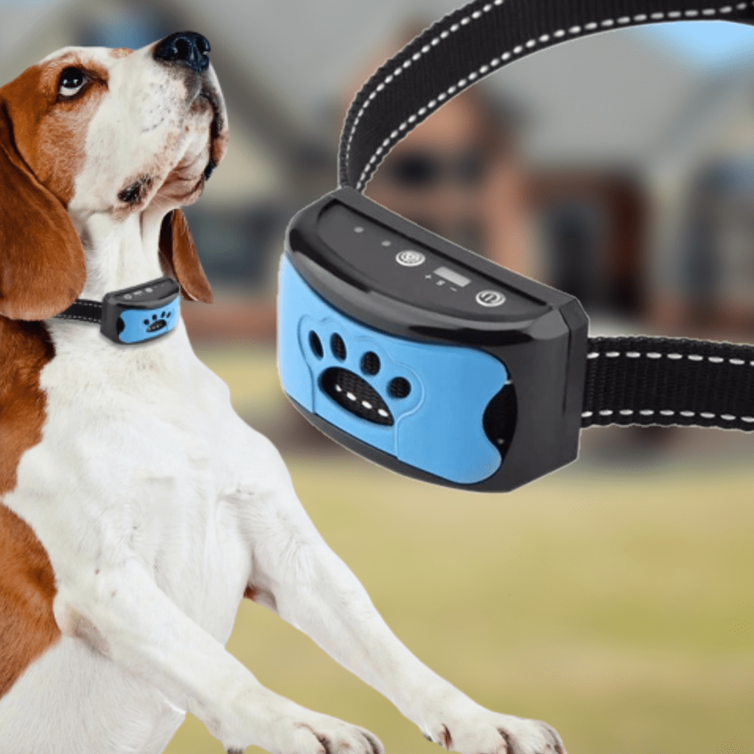 Anti-Bark Dog Collar with Ultrasonic Sound and Vibration