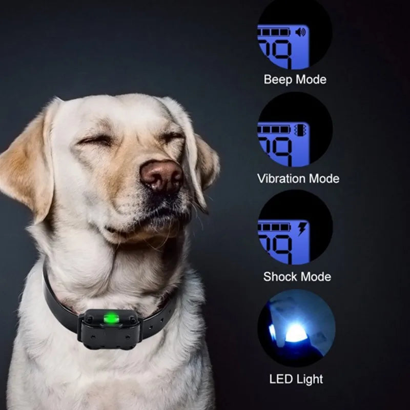 Waterproof Dog Training Collar with Remote and 800m Range