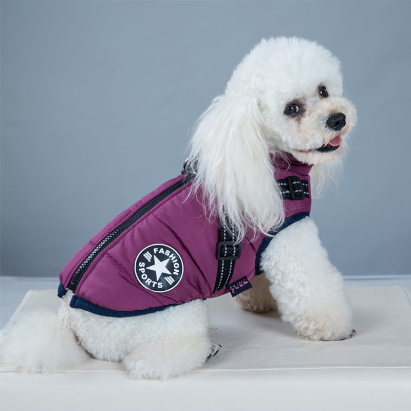 Hund i vadderat hundtäcke med sele