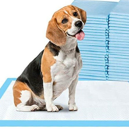 Efficient tisseputer for Hunder - clean home, easy hundet cleaning