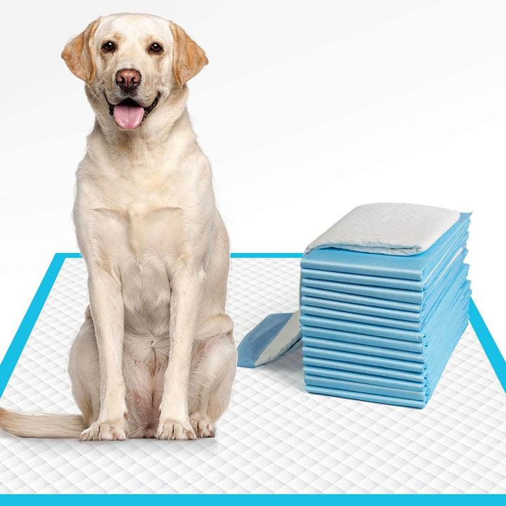 Efficient tisseputer for Hunder - clean home, easy hundet cleaning