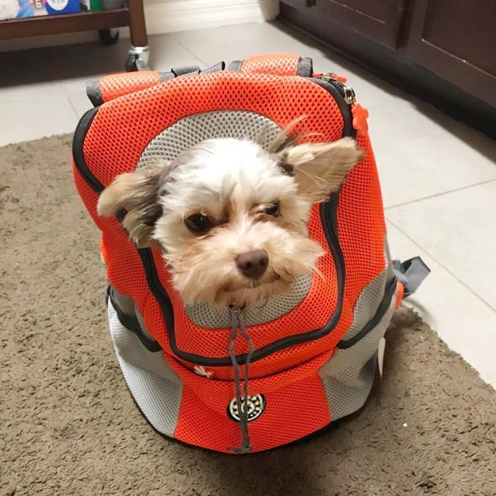 Versatile Backpack for Hunder/Cats - Comfort and Security