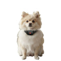 Anti-Bark Collar for Small Dogs