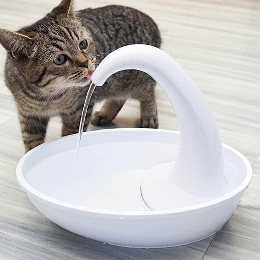 Automatic drikkefont one for cat - healthy water