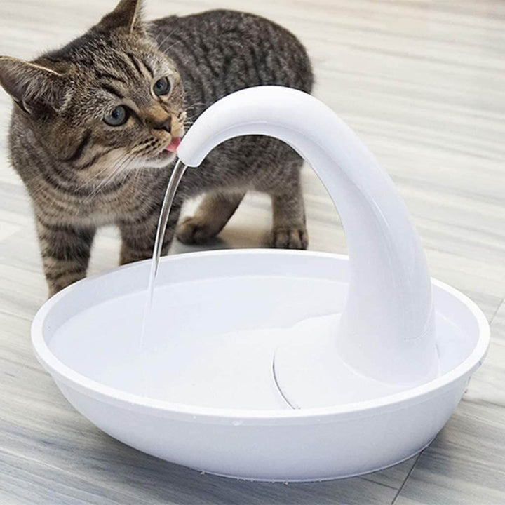 Automatic drikkefont one for cat - healthy water