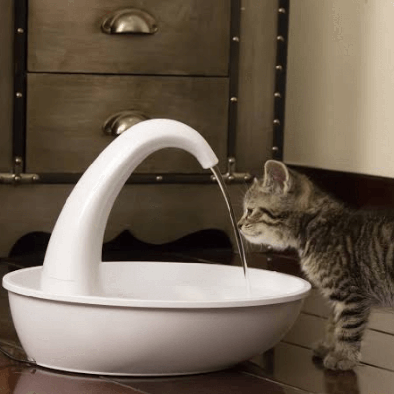 Automatic drikkefont one for cat - healthy water