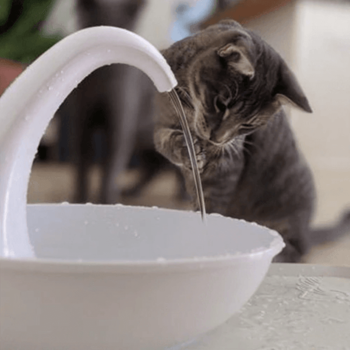 Automatic drikkefont one for cat - healthy water