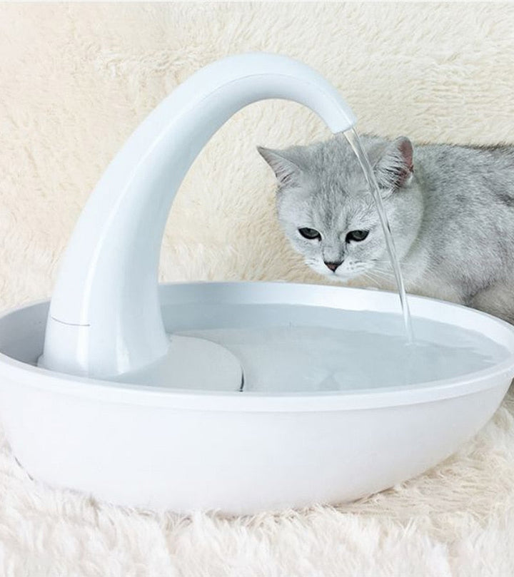 Automatic drikkefont one for cat - healthy water