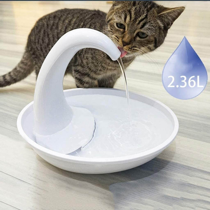 Automatic drikkefont one for cat - healthy water