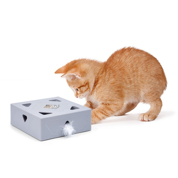 Interactive automatic katte toy with fjär for active cat