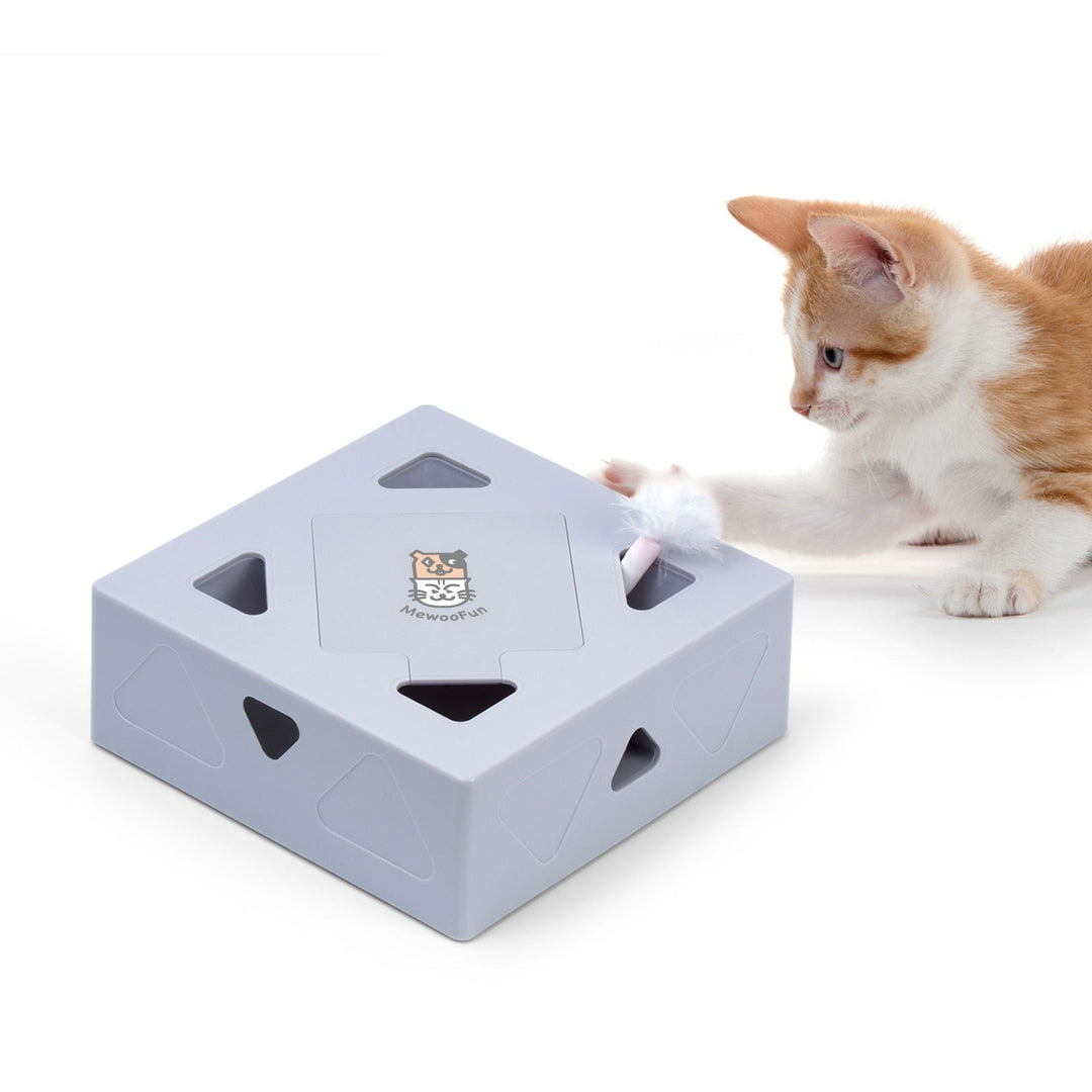 Interactive automatic katte toy with fjär for active cat