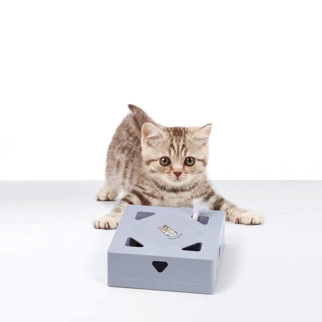 Interactive automatic katte toy with fjär for active cat