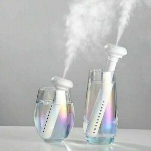 Portable flaskeluftfukter for fresh air where that gladly