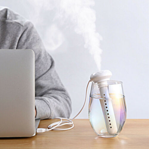 Portable flaskeluftfukter for fresh air where that gladly