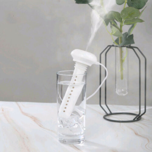 Portable flaskeluftfukter for fresh air where that gladly