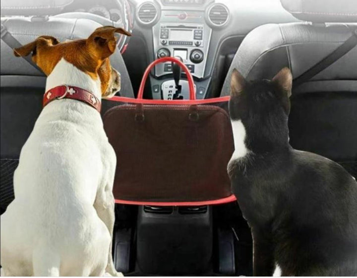 Car organiser: few order and security with this nettingholde clean