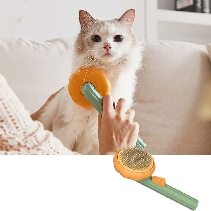 Effective Pumpkin-Shaped Pet Brush for a Glossy Coat