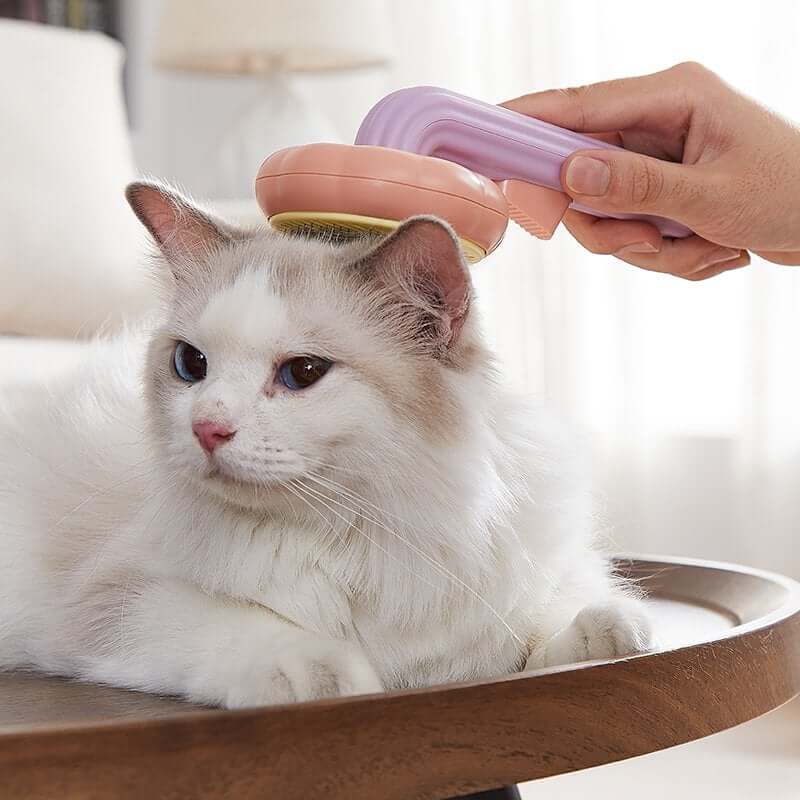 Effective Pumpkin-Shaped Pet Brush for a Glossy Coat