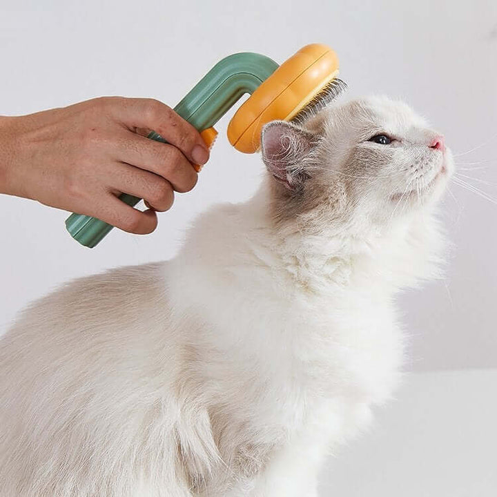 Effective Pumpkin-Shaped Pet Brush for a Glossy Coat