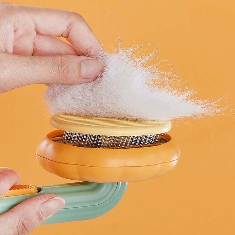 Effective Pumpkin-Shaped Pet Brush for a Glossy Coat