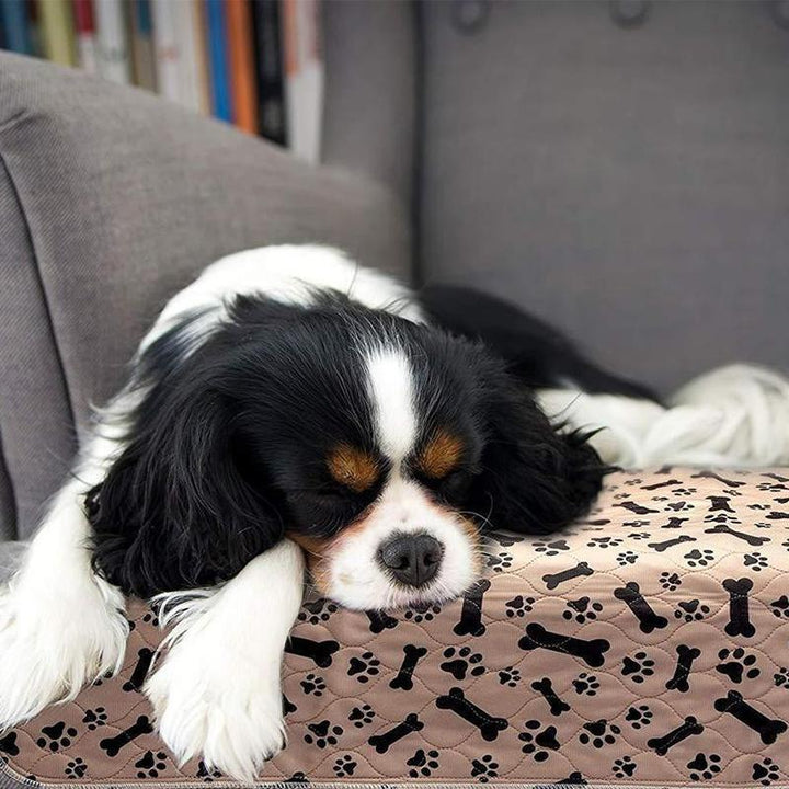 Vaskbare tisseputer to pets - Absorberende and Slip-safe