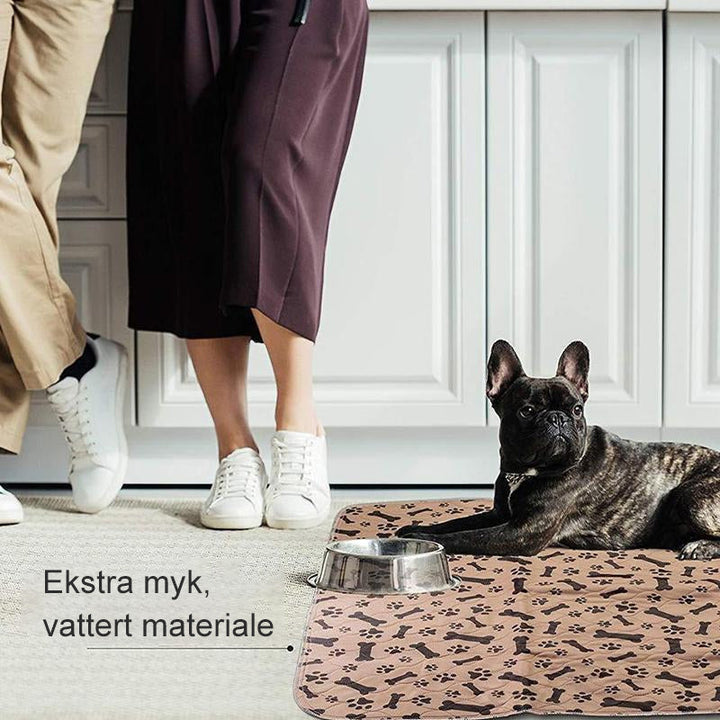 Vaskbare tisseputer to pets - Absorberende and Slip-safe
