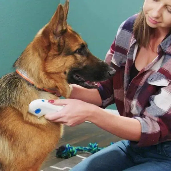 Electric loppeta bortr comb for pet - secure and effective