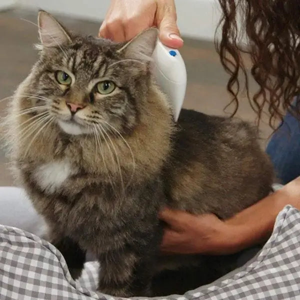 Electric loppeta bortr comb for pet - secure and effective