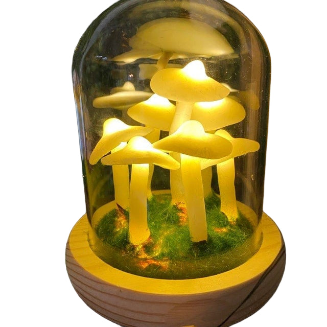 Creative DIY Soup Lamp for Your Home