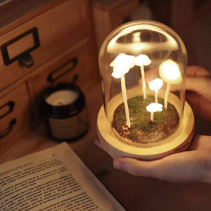 Creative DIY Soup Lamp for Your Home
