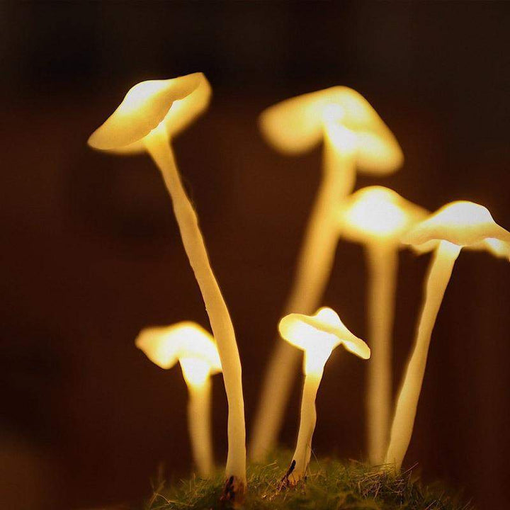 Creative DIY Soup Lamp for Your Home
