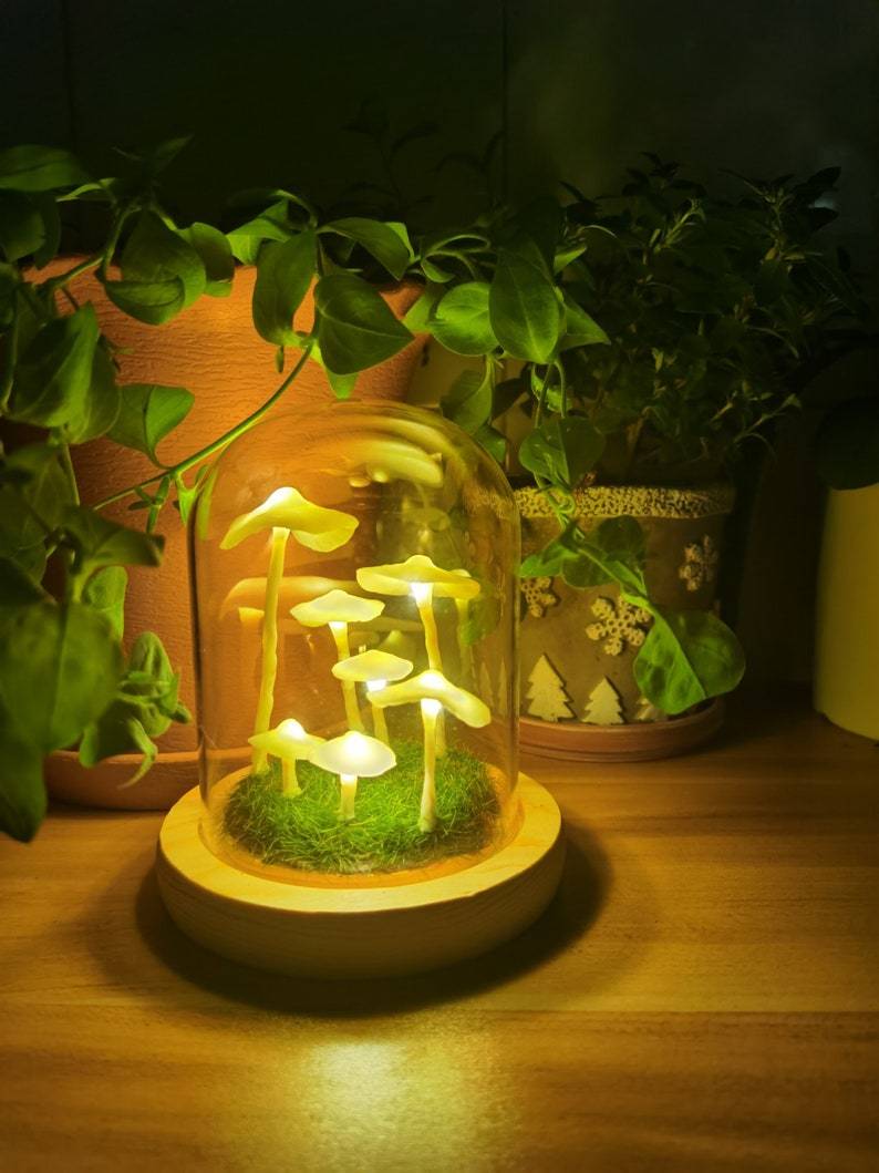 Creative DIY Soup Lamp for Your Home