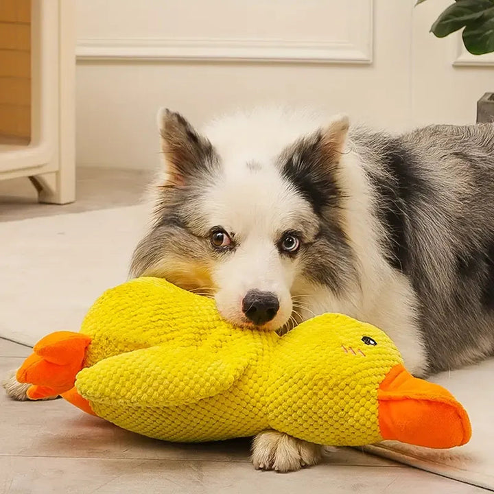 Interactive Squeaky Duck Toy for Dogs