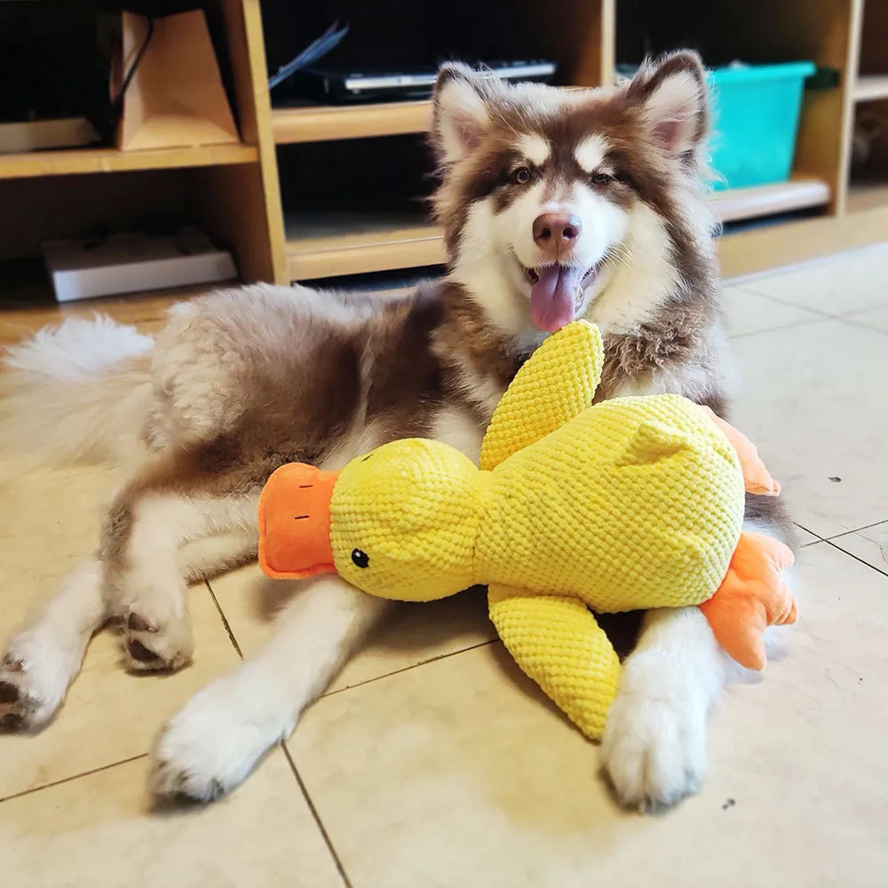 Interactive Squeaky Duck Toy for Dogs