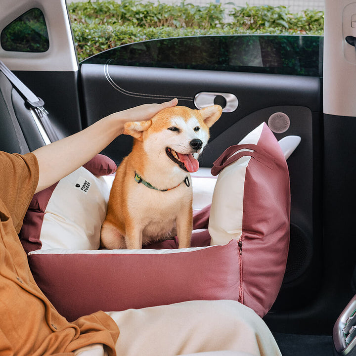 Hundeb Ilseng for secure and comfortable car trip