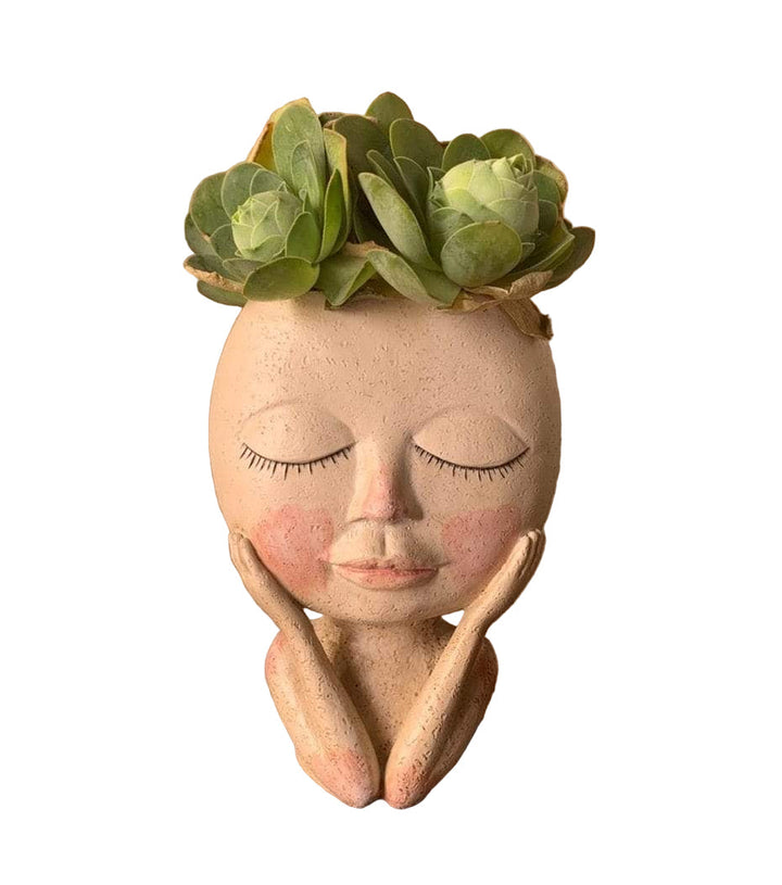 Face Flower Pot for Indoor Use