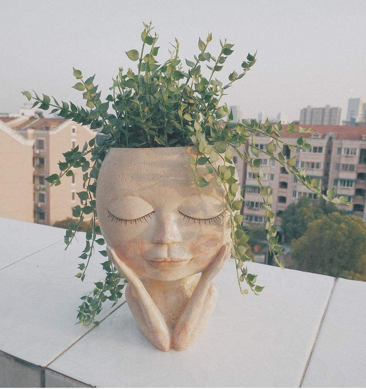 Face Flower Pot for Indoor Use