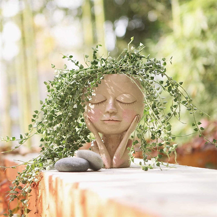 Face Flower Pot for Indoor Use