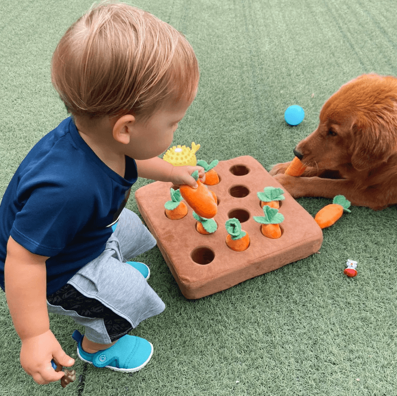 Interactive Carrot Dog Toy for Mental Stimulation