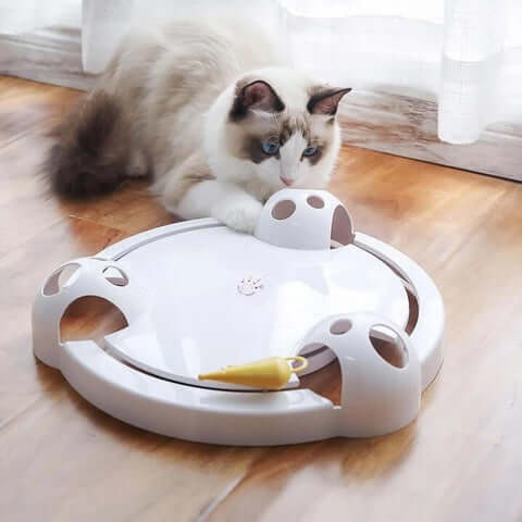 Interactive Pouncing Cat Toy for Hours of Hunting Fun