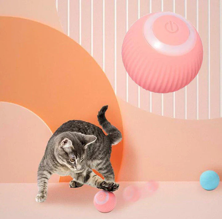 Interactive Smart Cat Play - Motion Activated Gravity Ball for Cats
