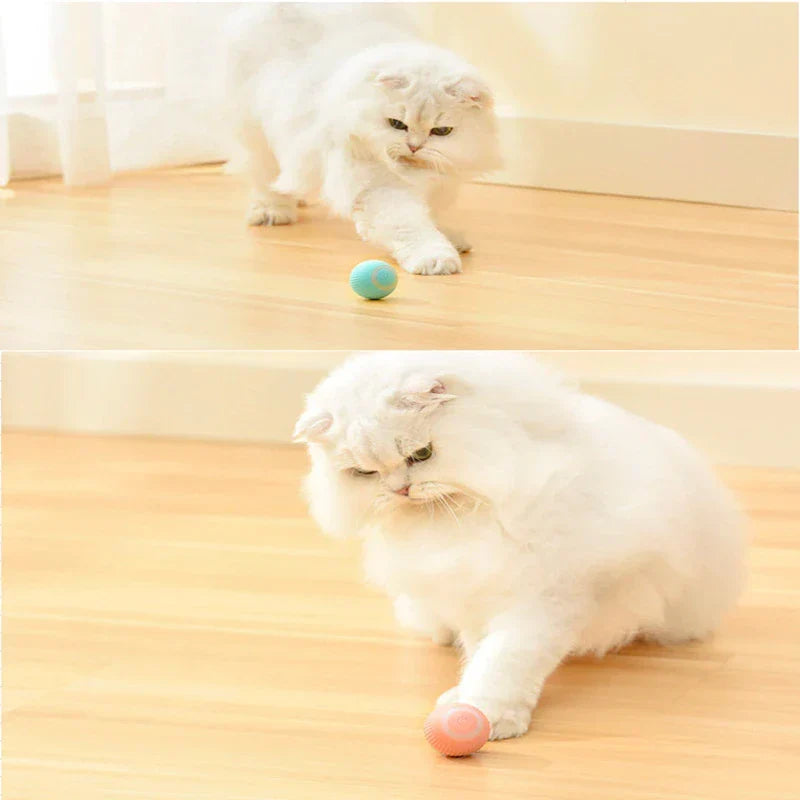 Interactive Smart Cat Play - Motion Activated Gravity Ball for Cats