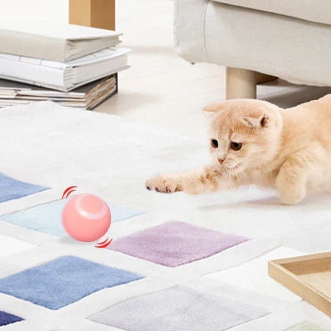 Interactive Smart Rolling Ball for Pets