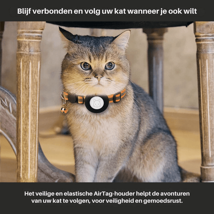 Cat Collar with GPS Tracking and Reflective, Adjustable