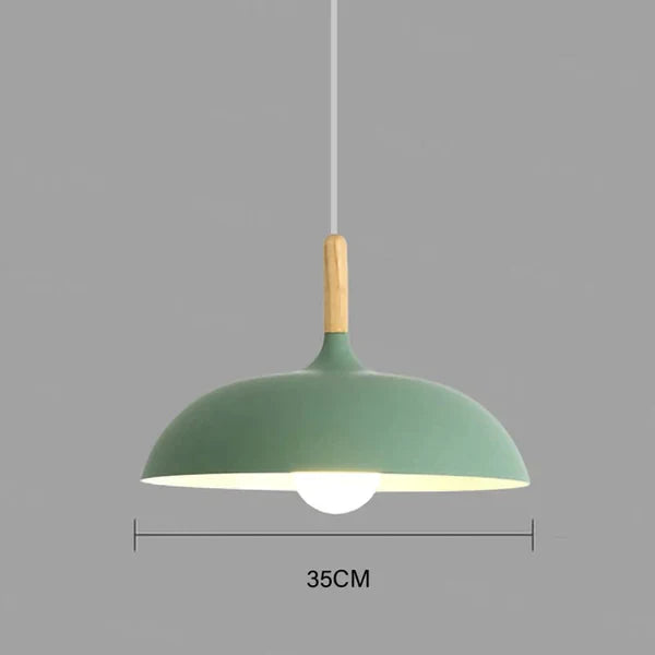 Modern Scandinavian Style Ceiling Lamp for the Home