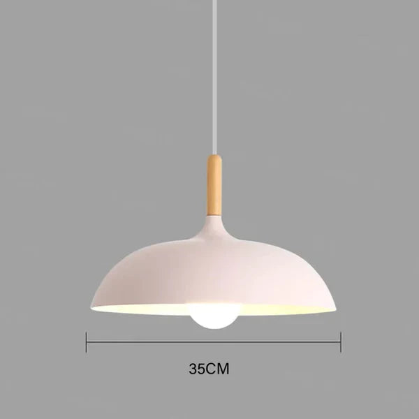 Modern Scandinavian Style Ceiling Lamp for the Home