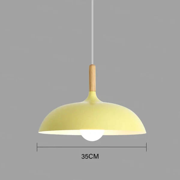 Modern Scandinavian Style Ceiling Lamp for the Home