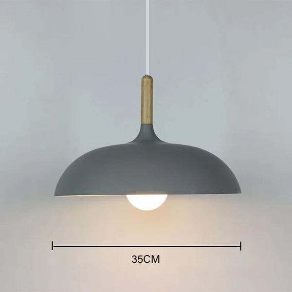 Modern Scandinavian Style Ceiling Lamp for the Home