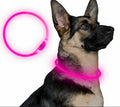 Hunde suffered necklace with usb-charging for increased visibility