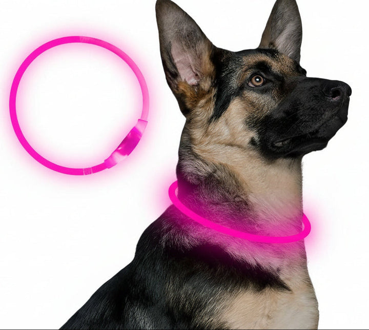 Hunde suffered necklace with usb-charging for increased visibility